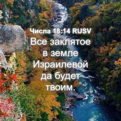 Picture 04 - Числа 18:14 RUSV - Все заклятое в земле - Bible Verse Picture