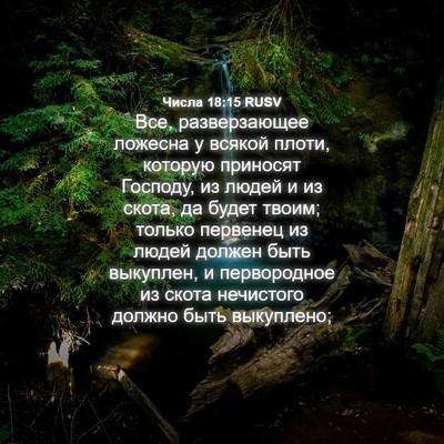 Picture 04 - Числа 18:15 RUSV - Все, разверзающее ложесна - Bible Verse Picture