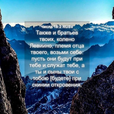 Picture 04 - Числа 18:2 RUSV - Также и братьев твоих, - Bible Verse Picture