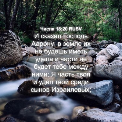 Picture 04 - Числа 18:20 RUSV - И сказал Господь Аарону: в - Bible Verse Picture