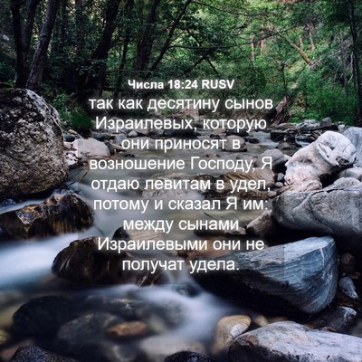 Picture 04 - Числа 18:24 RUSV - так как десятину сынов - Bible Verse Picture
