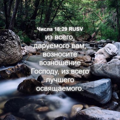 Picture 04 - Числа 18:29 RUSV - из всего, даруемого вам, - Bible Verse Picture