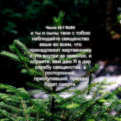 Picture 04 - Числа 18:7 RUSV - и ты и сыны твои с тобою - Bible Verse Picture