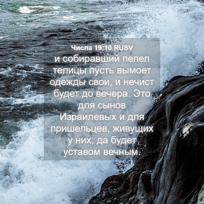 Picture 04 - Числа 19:10 RUSV - и собиравший пепел телицы - Bible Verse Picture