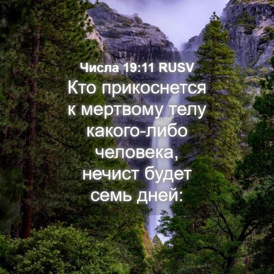 Picture 04 - Числа 19:11 RUSV - Кто прикоснется к мертвому - Bible Verse Picture
