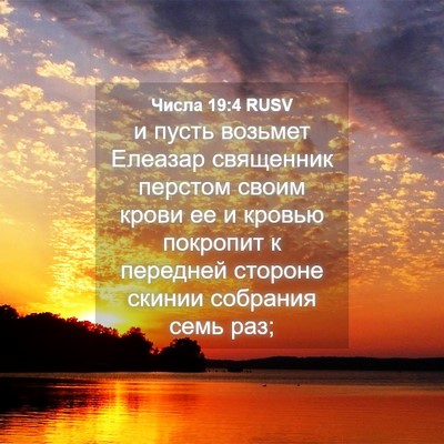Picture 04 - Числа 19:4 RUSV - и пусть возьмет Елеазар - Bible Verse Picture