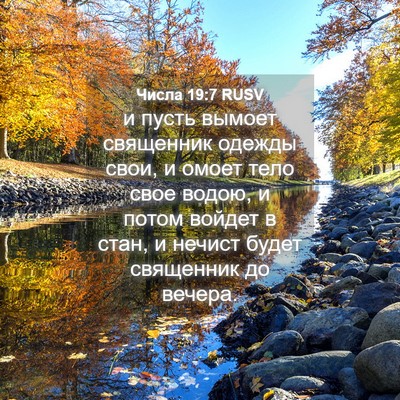 Picture 04 - Числа 19:7 RUSV - и пусть вымоет священник - Bible Verse Picture