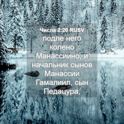 Picture 04 - Числа 2:20 RUSV - подле него колено - Bible Verse Picture