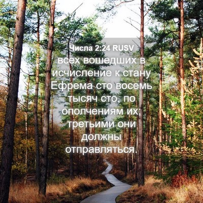 Picture 04 - Числа 2:24 RUSV - всех вошедших в исчисление - Bible Verse Picture