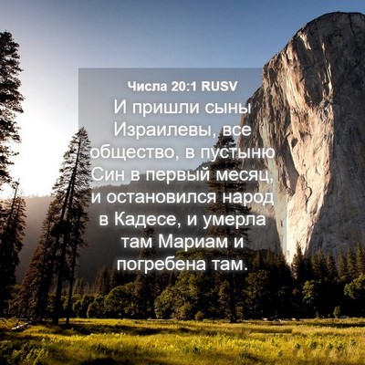 Picture 04 - Числа 20:1 RUSV - И пришли сыны Израилевы, - Bible Verse Picture
