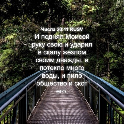 Picture 04 - Числа 20:11 RUSV - И поднял Моисей руку свою и - Bible Verse Picture