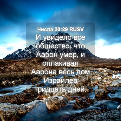 Picture 04 - Числа 20:29 RUSV - И увидело все общество, что - Bible Verse Picture
