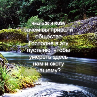 Picture 04 - Числа 20:4 RUSV - зачем вы привели общество - Bible Verse Picture