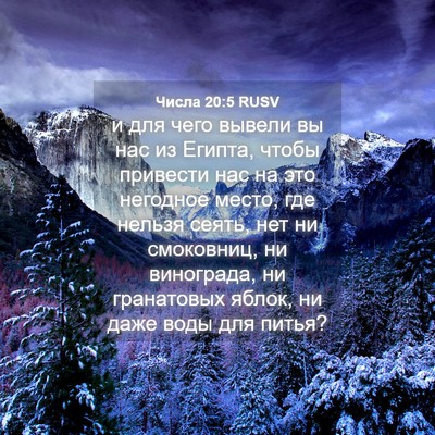 Picture 04 - Числа 20:5 RUSV - и для чего вывели вы нас из - Bible Verse Picture