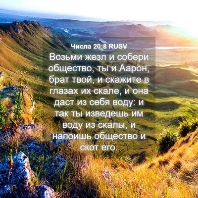 Picture 04 - Числа 20:8 RUSV - Возьми жезл и собери - Bible Verse Picture