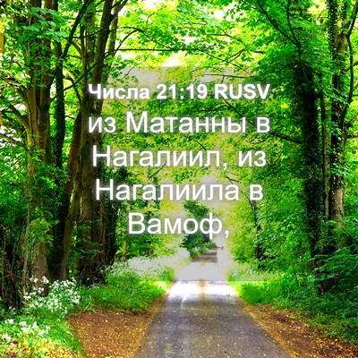 Picture 04 - Числа 21:19 RUSV - из Матанны в Нагалиил, из - Bible Verse Picture
