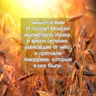 Picture 04 - Числа 21:32 RUSV - И послал Моисей высмотреть - Bible Verse Picture