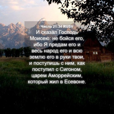 Picture 04 - Числа 21:34 RUSV - И сказал Господь Моисею: не - Bible Verse Picture
