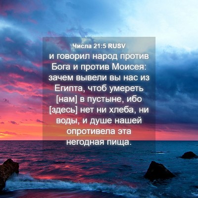 Picture 04 - Числа 21:5 RUSV - и говорил народ против - Bible Verse Picture