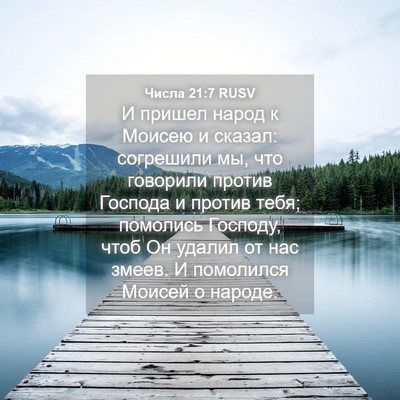 Picture 04 - Числа 21:7 RUSV - И пришел народ к Моисею и - Bible Verse Picture