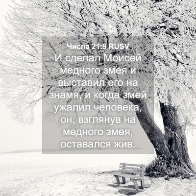 Picture 04 - Числа 21:9 RUSV - И сделал Моисей медного - Bible Verse Picture