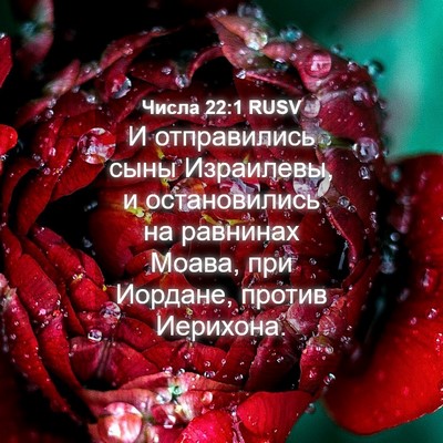 Picture 04 - Числа 22:1 RUSV - И отправились сыны - Bible Verse Picture