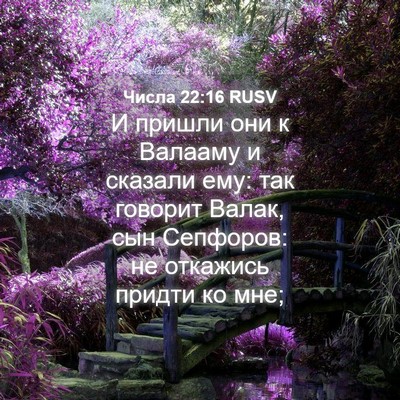 Picture 04 - Числа 22:16 RUSV - И пришли они к Валааму и - Bible Verse Picture