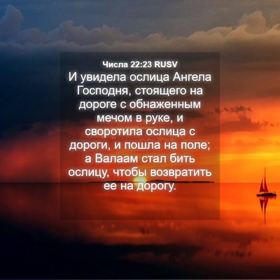 Picture 04 - Числа 22:23 RUSV - И увидела ослица Ангела - Bible Verse Picture
