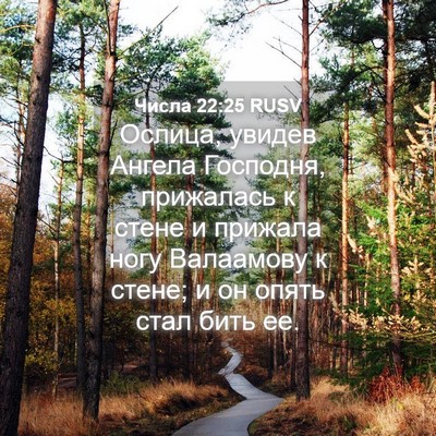 Picture 04 - Числа 22:25 RUSV - Ослица, увидев Ангела - Bible Verse Picture