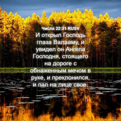 Picture 04 - Числа 22:31 RUSV - И открыл Господь глаза - Bible Verse Picture