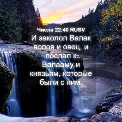 Picture 04 - Числа 22:40 RUSV - И заколол Валак волов и - Bible Verse Picture