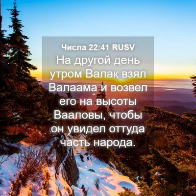 Picture 04 - Числа 22:41 RUSV - На другой день утром Валак - Bible Verse Picture