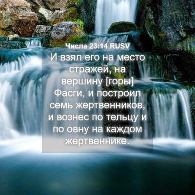 Picture 04 - Числа 23:14 RUSV - И взял его на место - Bible Verse Picture