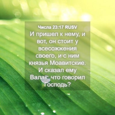 Picture 04 - Числа 23:17 RUSV - И пришел к нему, и вот, он - Bible Verse Picture