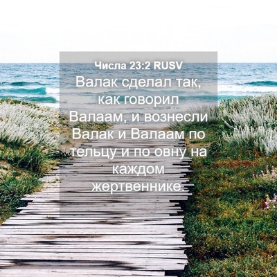 Picture 04 - Числа 23:2 RUSV - Валак сделал так, как - Bible Verse Picture