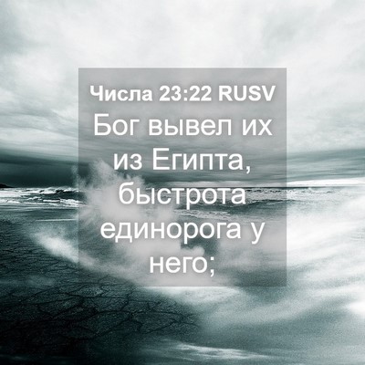 Picture 04 - Числа 23:22 RUSV - Бог вывел их из Египта, - Bible Verse Picture