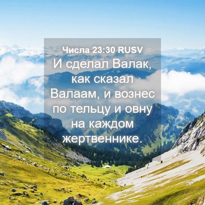 Picture 04 - Числа 23:30 RUSV - И сделал Валак, как сказал - Bible Verse Picture