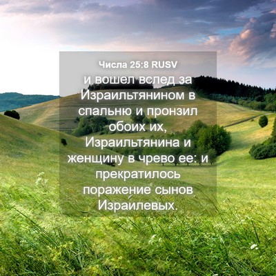 Picture 04 - Числа 25:8 RUSV - и вошел вслед за - Bible Verse Picture