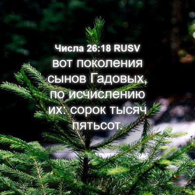 Picture 04 - Числа 26:18 RUSV - вот поколения сынов - Bible Verse Picture