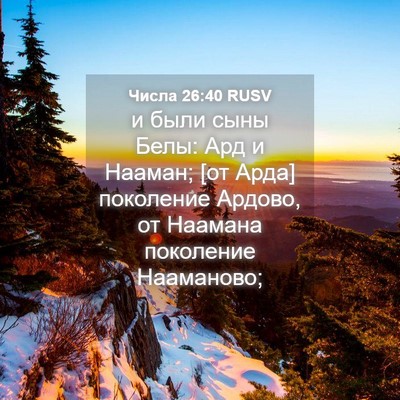 Picture 04 - Числа 26:40 RUSV - и были сыны Белы: Ард и - Bible Verse Picture