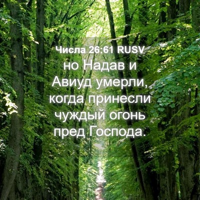 Picture 04 - Числа 26:61 RUSV - но Надав и Авиуд умерли, - Bible Verse Picture