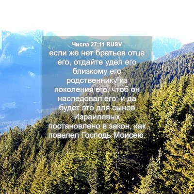 Picture 04 - Числа 27:11 RUSV - если же нет братьев отца - Bible Verse Picture