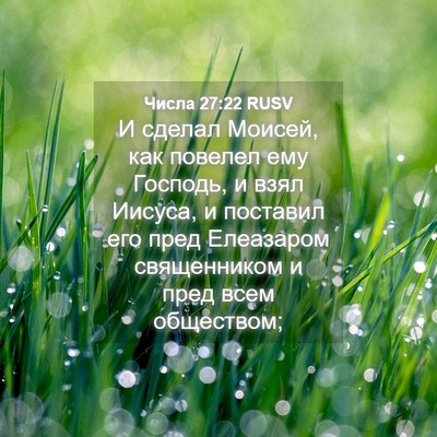 Picture 04 - Числа 27:22 RUSV - И сделал Моисей, как - Bible Verse Picture