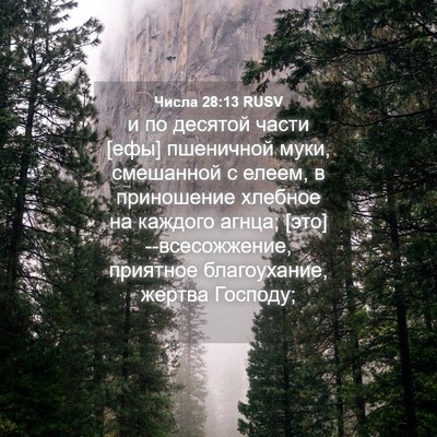 Picture 04 - Числа 28:13 RUSV - и по десятой части [ефы] - Bible Verse Picture