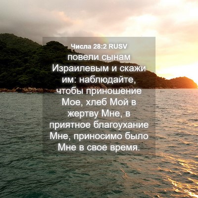 Picture 04 - Числа 28:2 RUSV - повели сынам Израилевым и - Bible Verse Picture