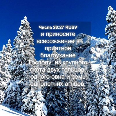 Picture 04 - Числа 28:27 RUSV - и приносите всесожжение в - Bible Verse Picture