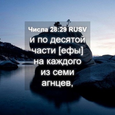 Picture 04 - Числа 28:29 RUSV - и по десятой части [ефы] на - Bible Verse Picture