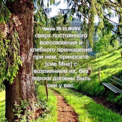 Picture 04 - Числа 28:31 RUSV - сверх постоянного - Bible Verse Picture