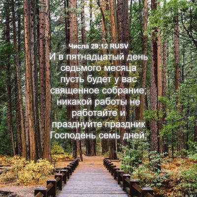 Picture 04 - Числа 29:12 RUSV - И в пятнадцатый день - Bible Verse Picture