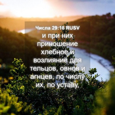 Picture 04 - Числа 29:18 RUSV - и при них приношение - Bible Verse Picture